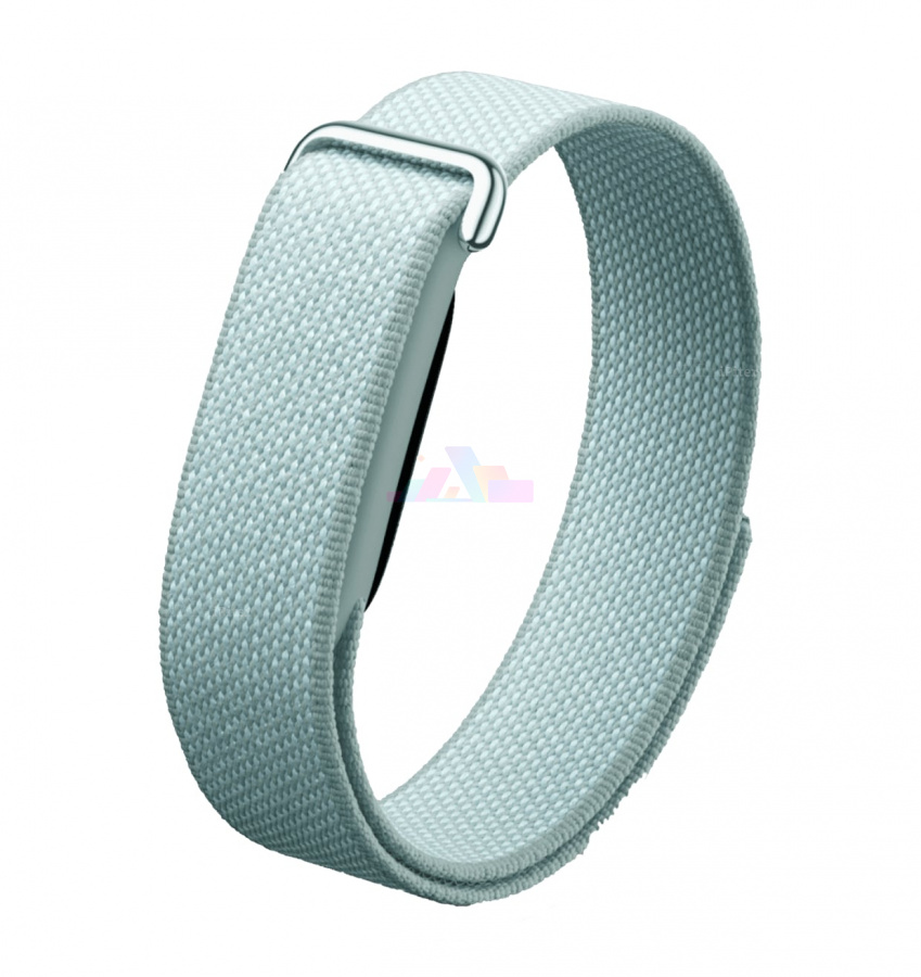 Фото Купить Фитнес-браслет Google Fitbit Air (Fog) по низкой цене в Санкт-Петербурге