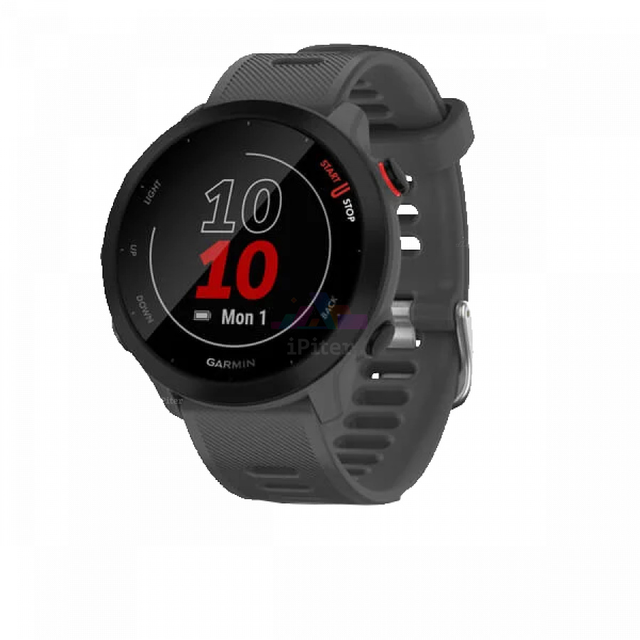 Фото Купить Умные часы Garmin Forerunner 55 Серый (010-02562-13) по низкой цене в Санкт-Петербурге