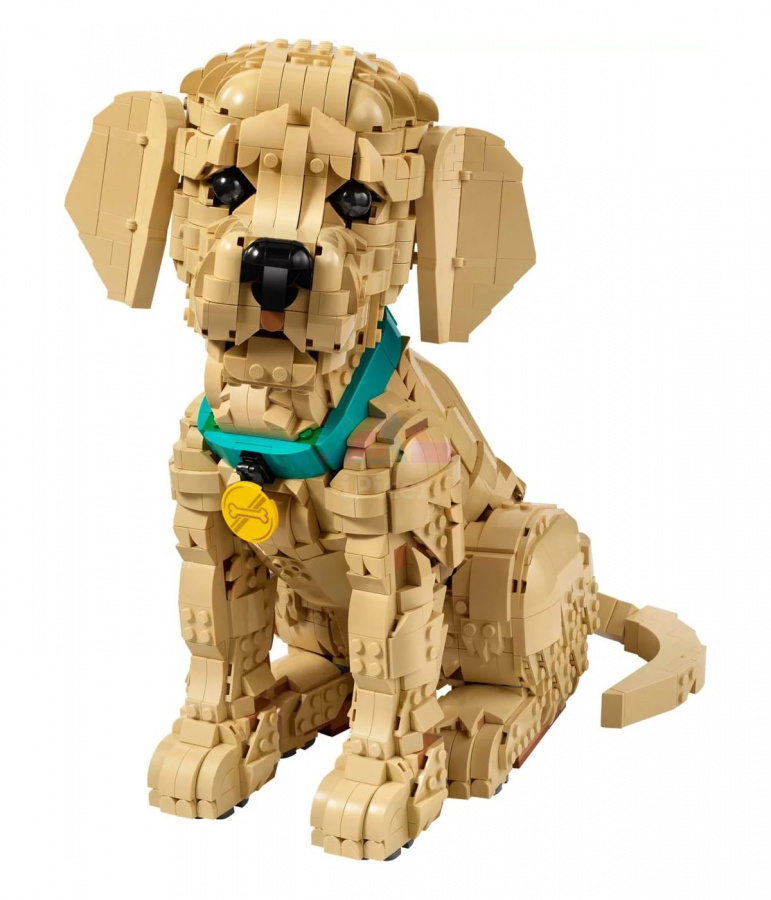 Фото Купить LEGO Icons 11384 Щенок золотистого ретривера по низкой цене в Санкт-Петербурге