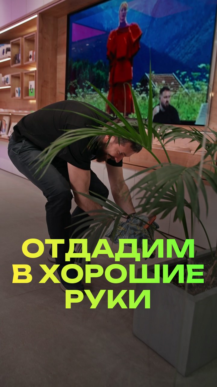 Отдадим в хорошие руки