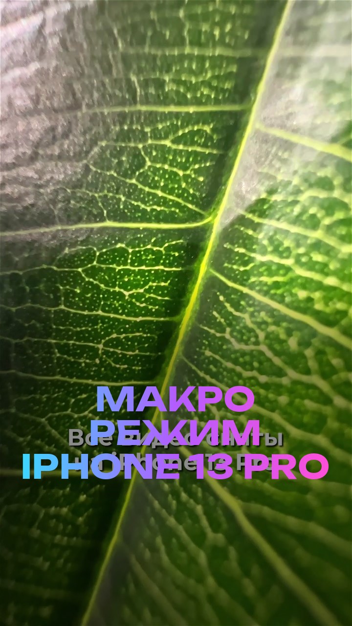 Макро режим iPhone 13 Pro