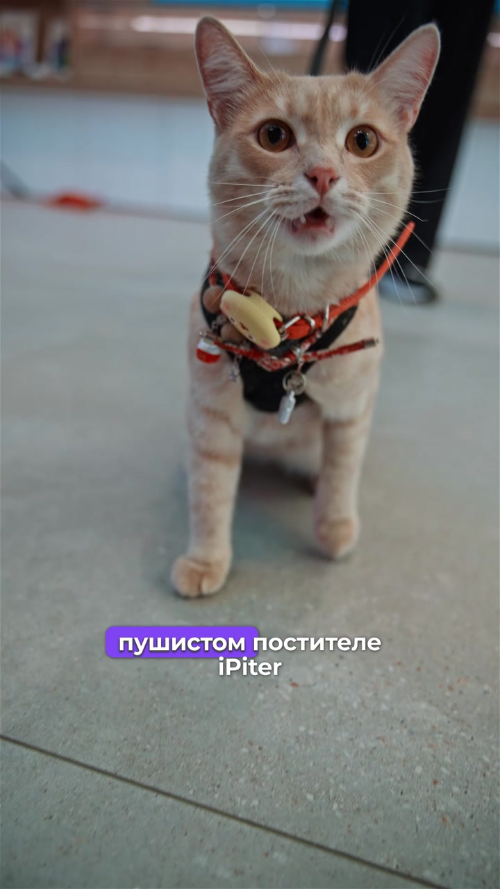 iPhone-Радионяня