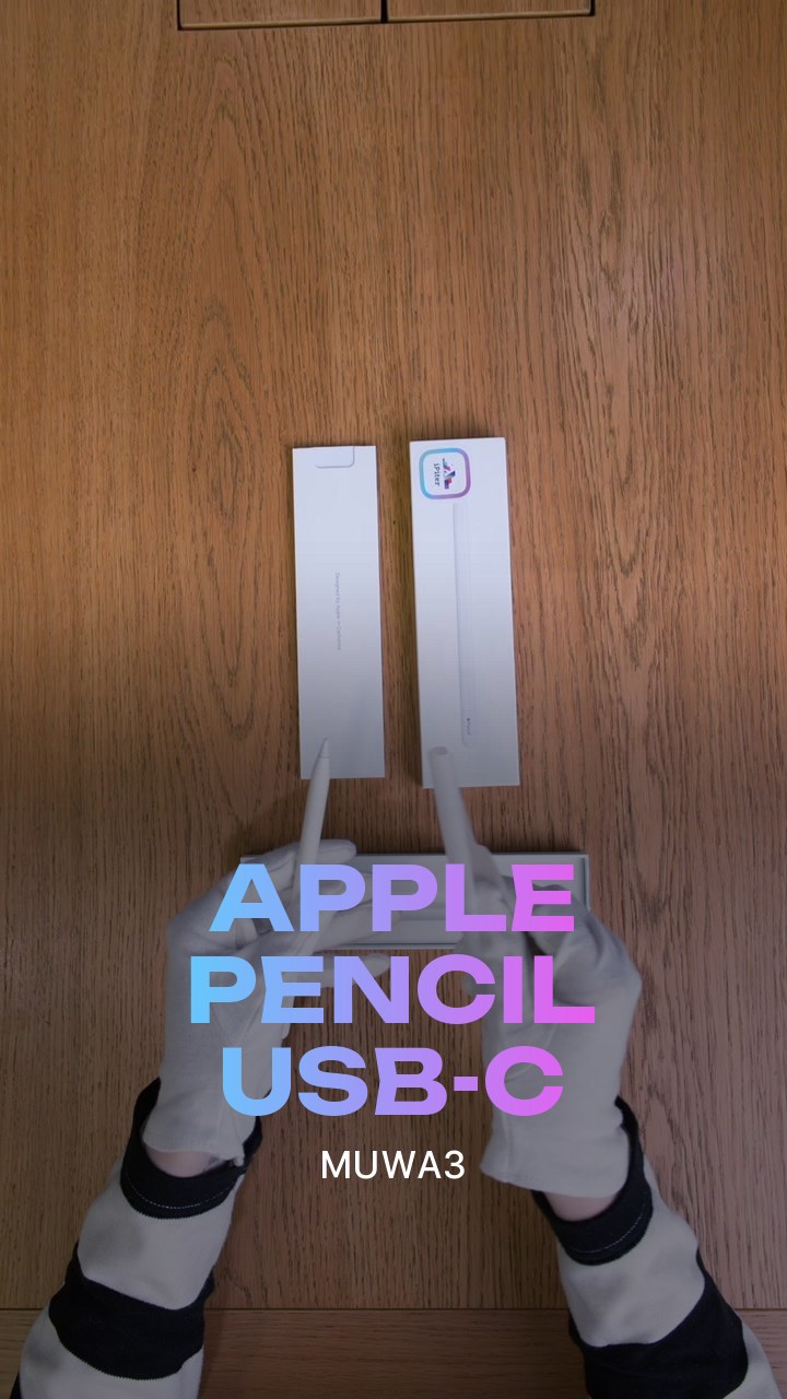 Apple Pencil USB-C (MUWA3)