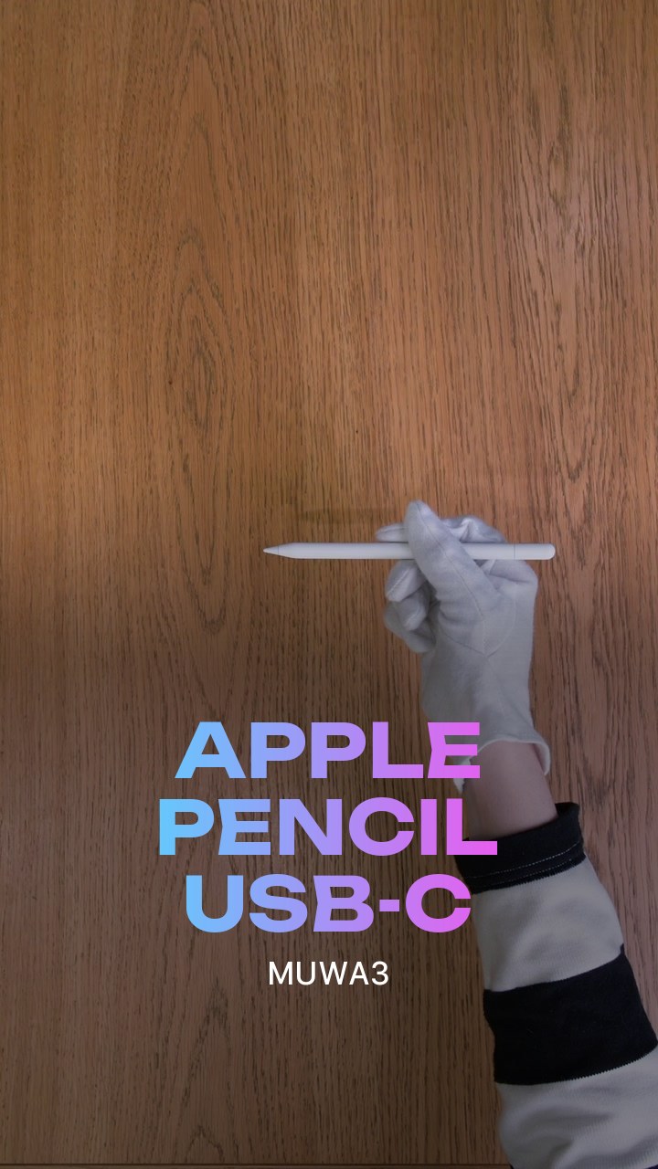 Apple Pencil USB-C (MUWA3)
