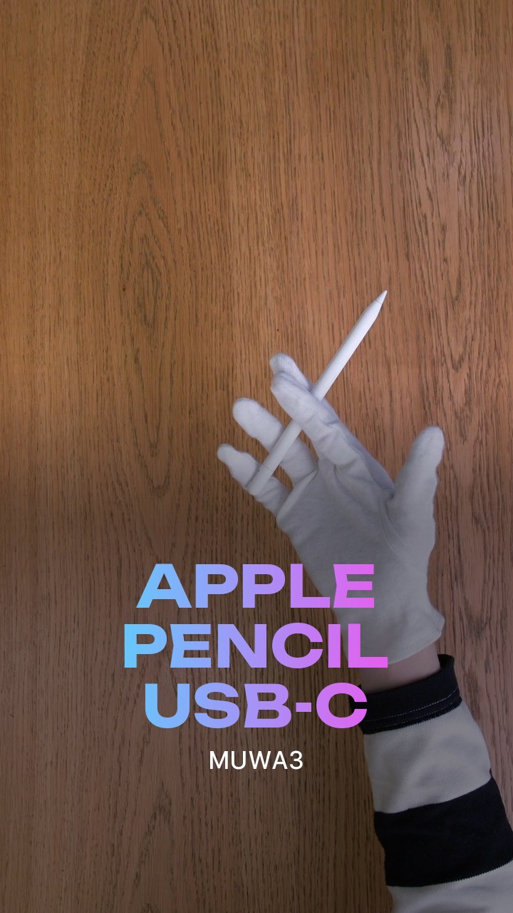 Apple Pencil USB-C (MUWA3)