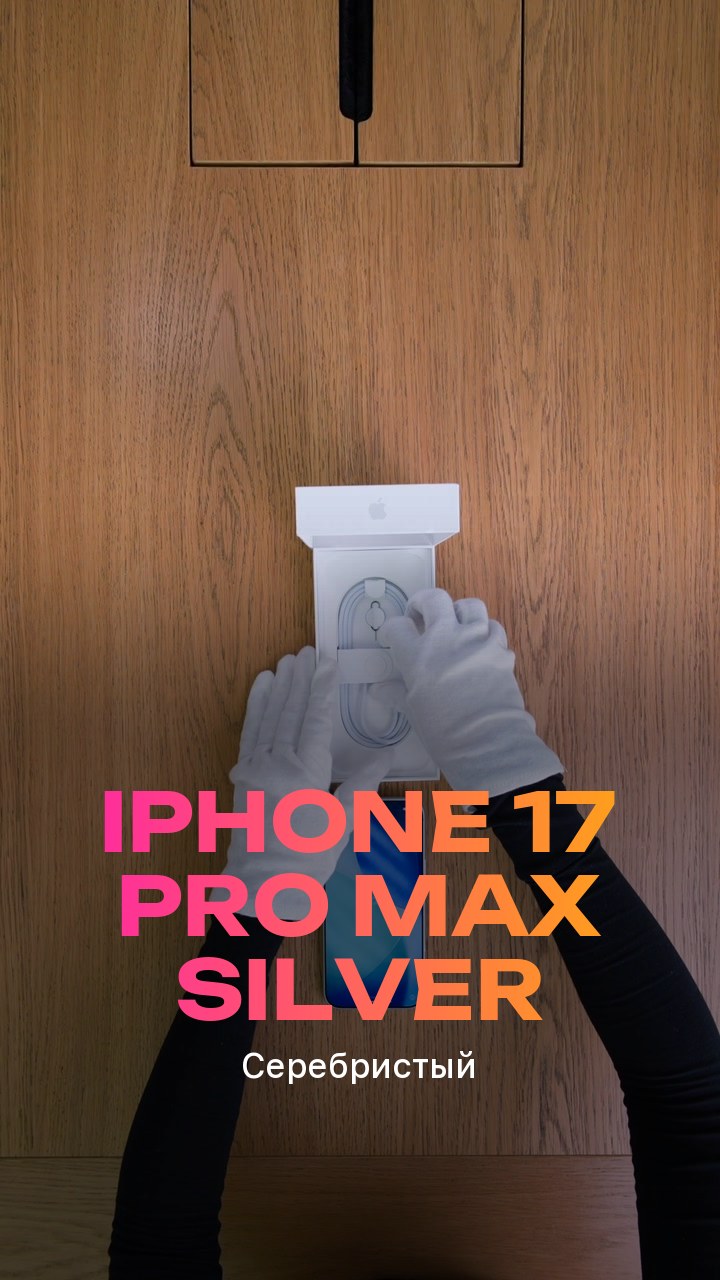 Apple iPhone 17 Pro Max Silver (Серебристый)