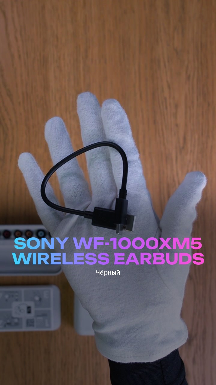 Sony WF-1000XM5 Wireless Earbuds (Чёрный)