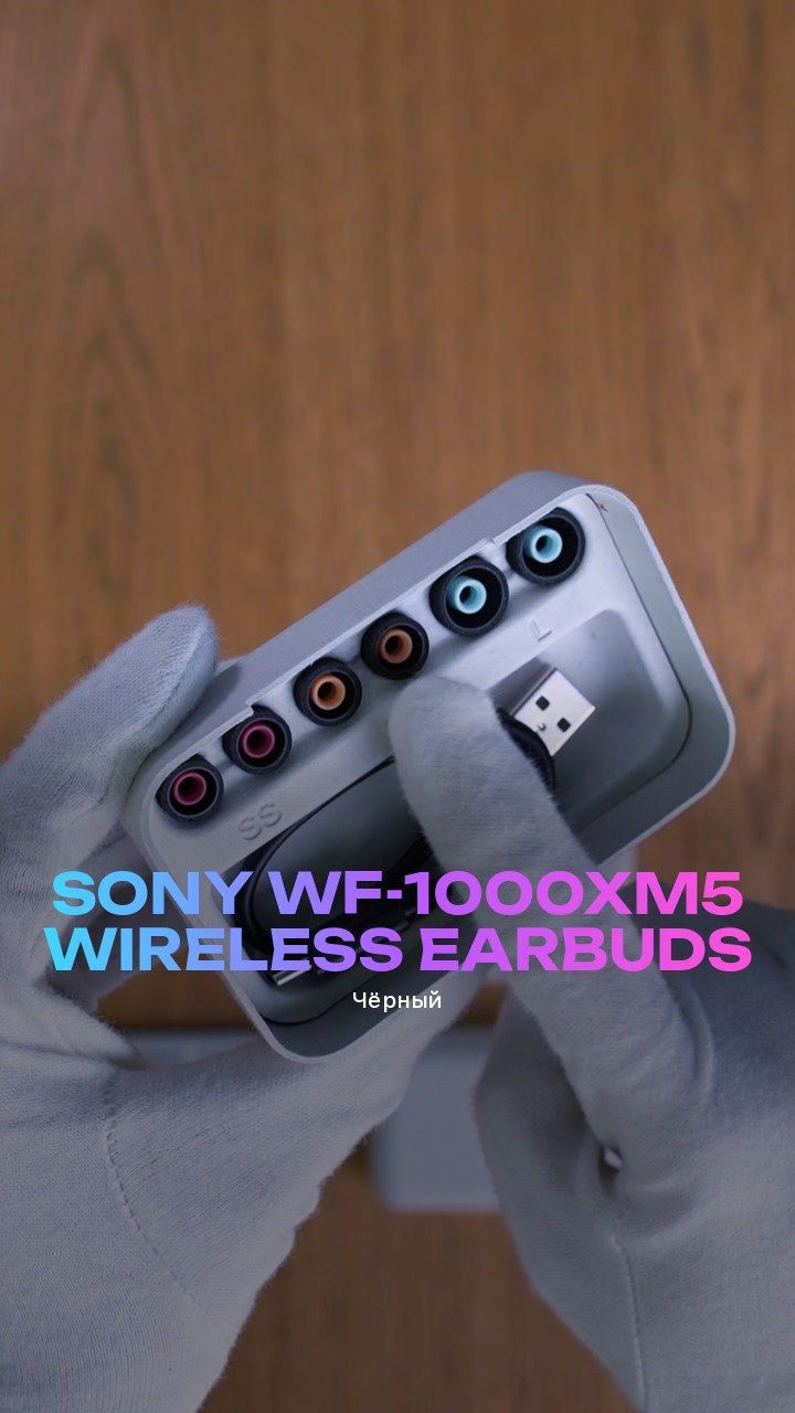 Sony WF-1000XM5 Wireless Earbuds (Чёрный)