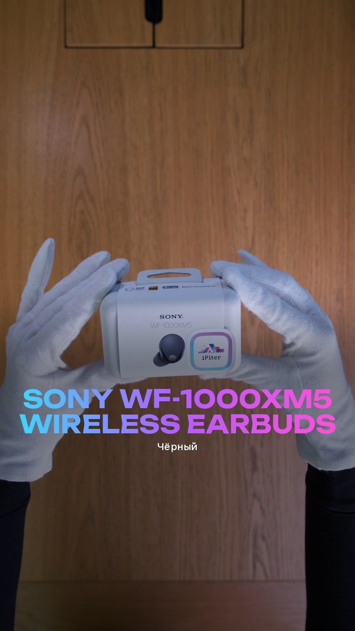 Sony WF-1000XM5 Wireless Earbuds (Чёрный)