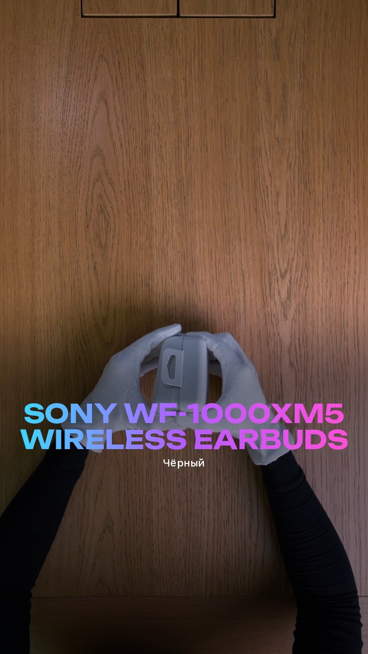 Sony WF-1000XM5 Wireless Earbuds (Чёрный)