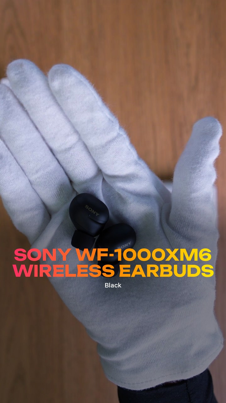 Sony WF-1000XM6 Wireless Earbuds (Black)