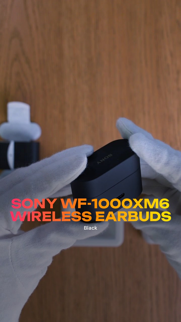 Sony WF-1000XM6 Wireless Earbuds (Black)