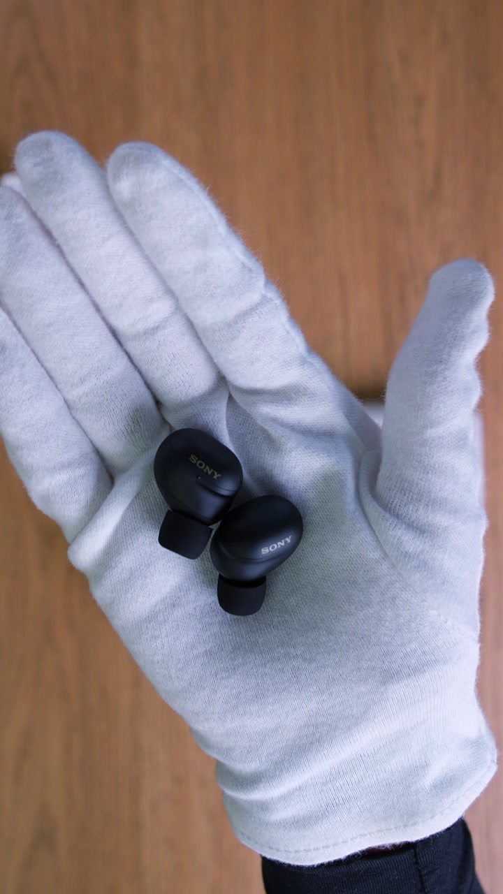 Sony WF-1000XM6 Wireless Earbuds (Black)
