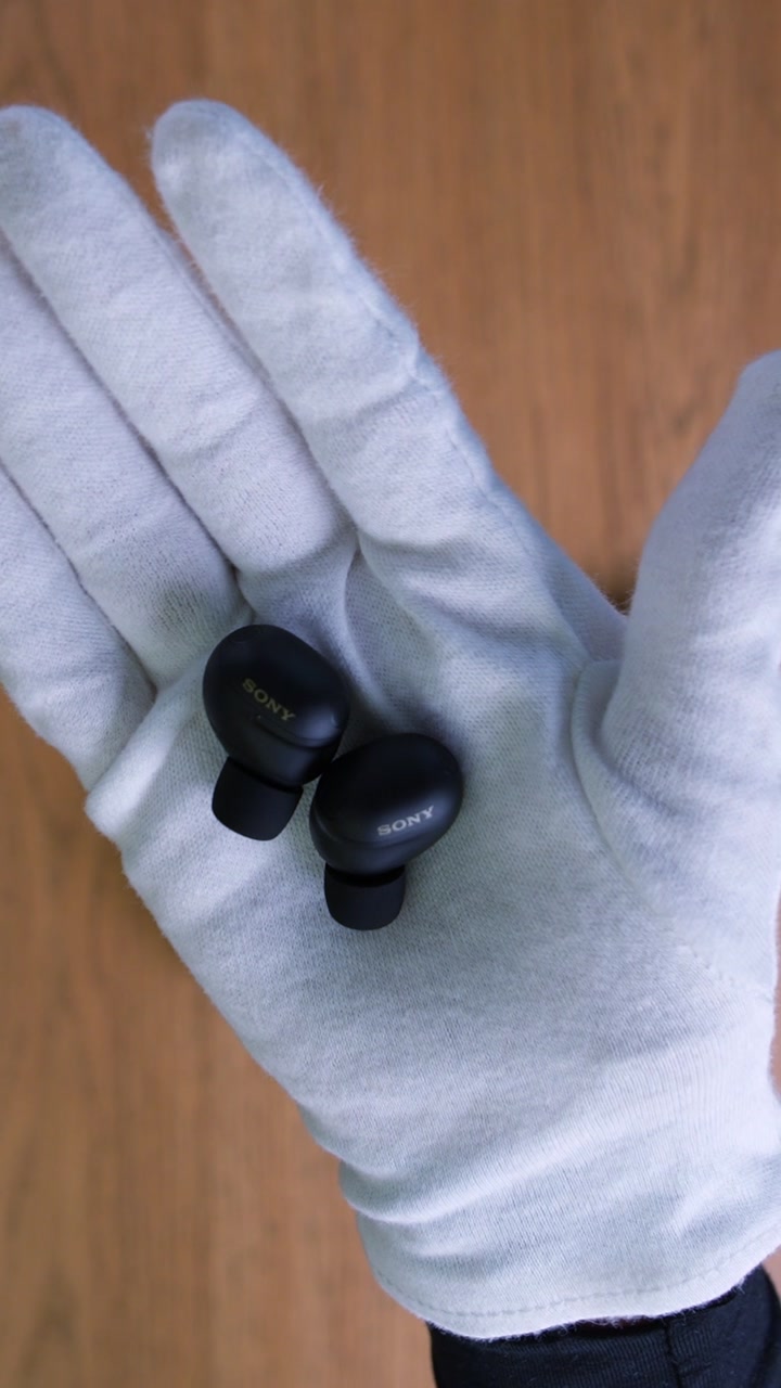 Sony WF-1000XM6 Wireless Earbuds (Black)
