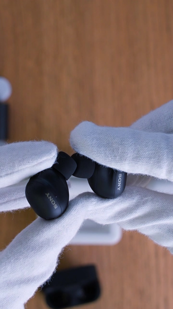 Sony WF-1000XM6 Wireless Earbuds (Black)