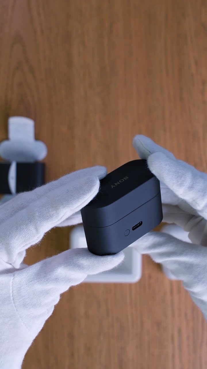 Sony WF-1000XM6 Wireless Earbuds (Black)