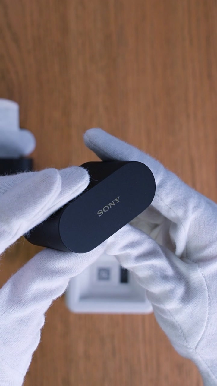 Sony WF-1000XM6 Wireless Earbuds (Black)