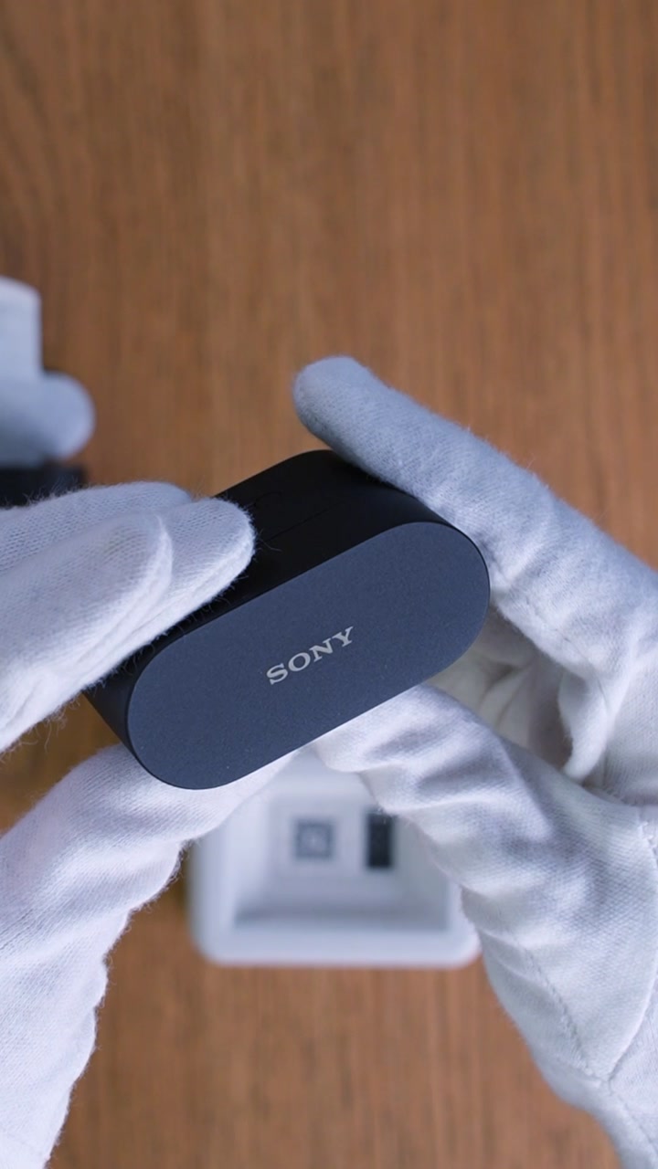 Sony WF-1000XM6 Wireless Earbuds (Black)