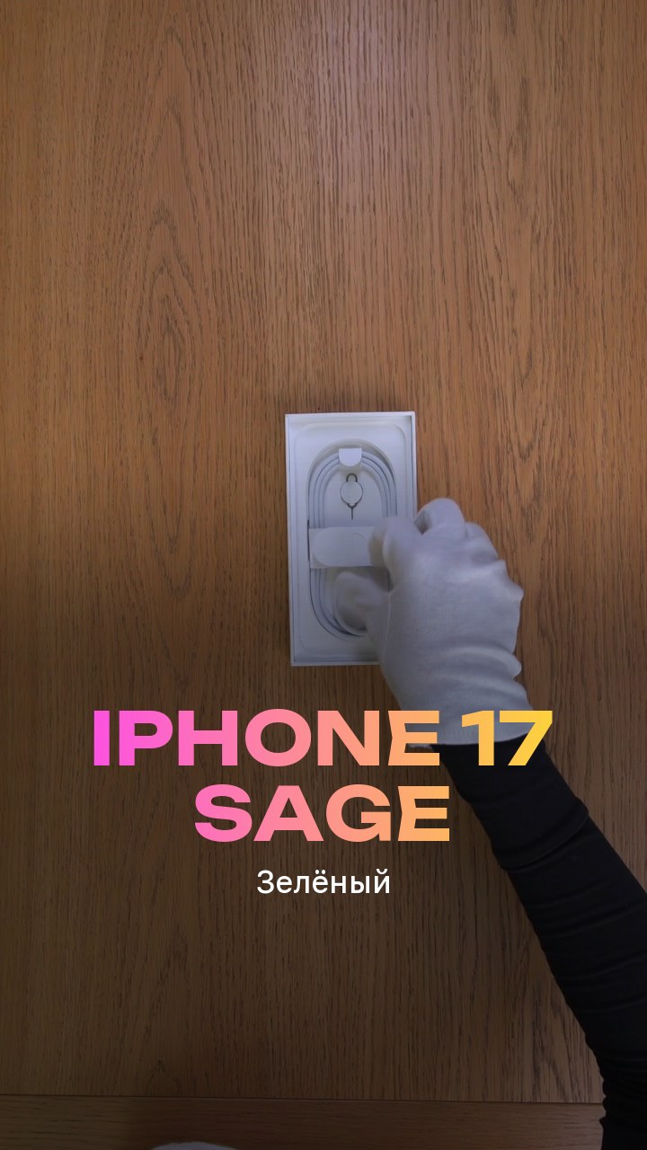 Apple iPhone 17 256Gb Sage (Зелёный) Nano-sim + eSim