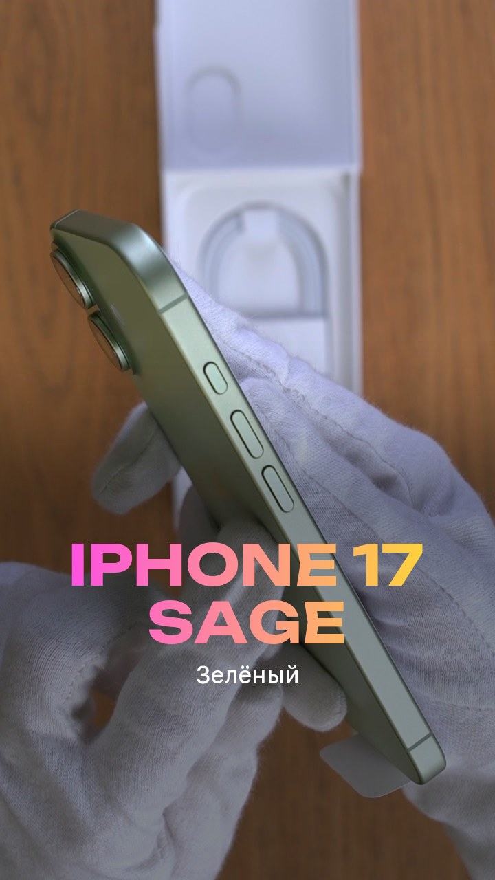 Apple iPhone 17 256Gb Sage (Зелёный) eSim + eSim