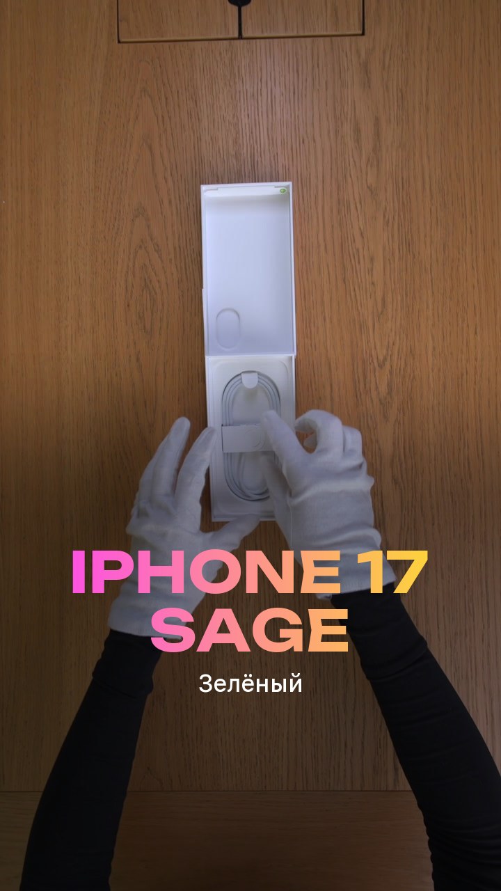Apple iPhone 17 256Gb Sage (Зелёный) eSim + eSim