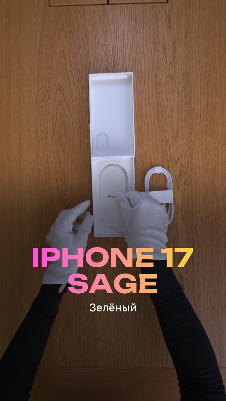 Apple iPhone 17 256Gb Sage (Зелёный) eSim + eSim