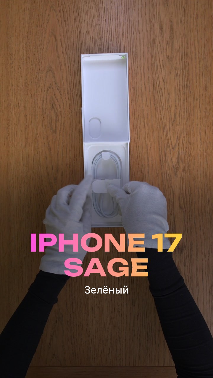 Apple iPhone 17 256Gb Sage (Зелёный) eSim + eSim