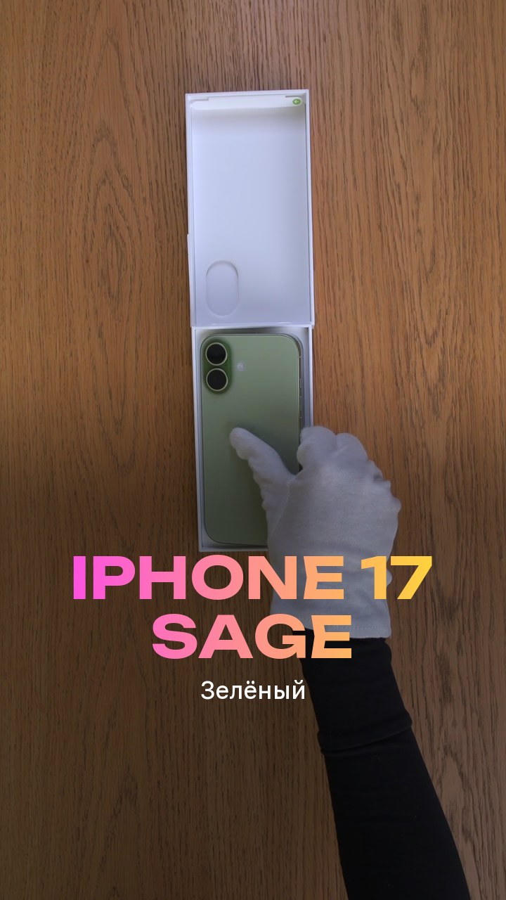 Apple iPhone 17 256Gb Sage (Зелёный) eSim + eSim