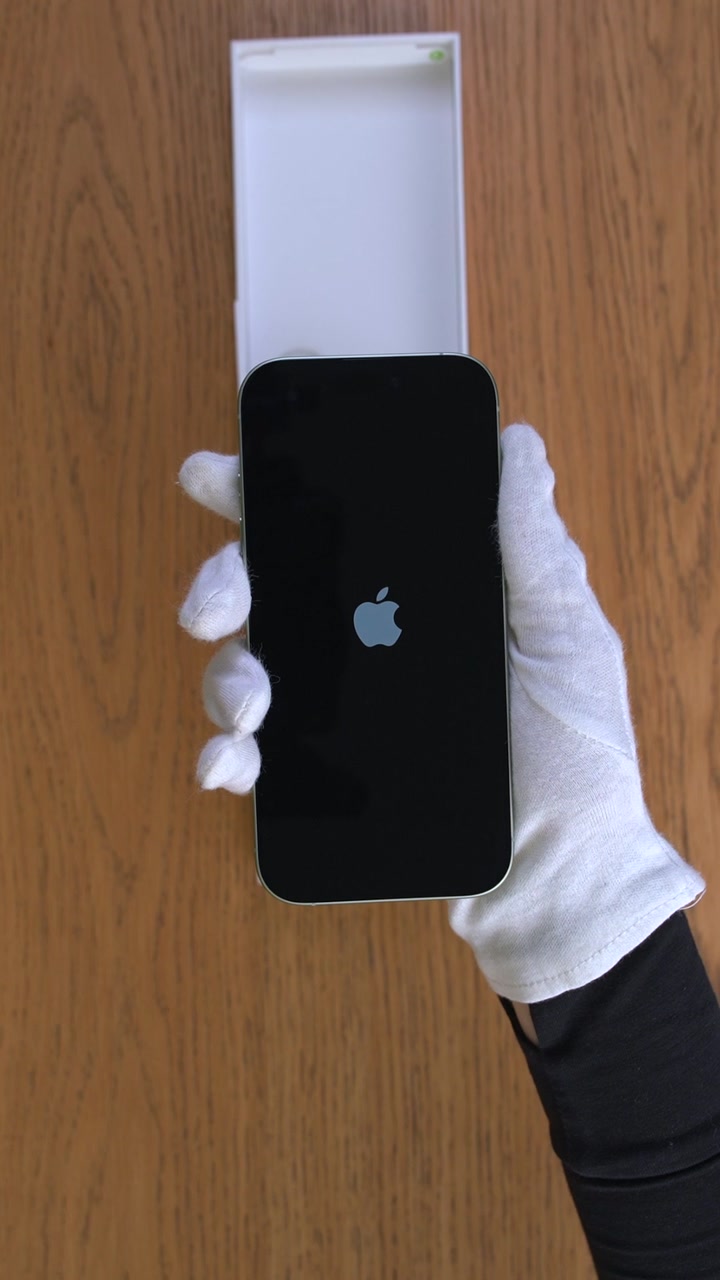 Apple iPhone 17 256Gb Sage (Зелёный) eSim + eSim
