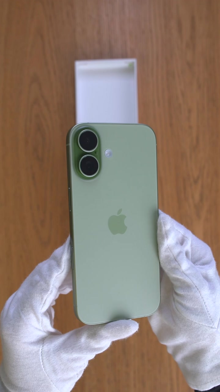 Apple iPhone 17 256Gb Sage (Зелёный) eSim + eSim