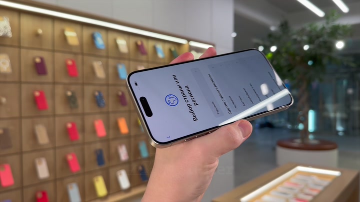 iPhone 15 Pro Max Natural Titanium