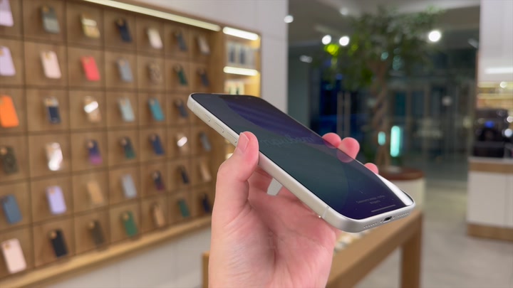 iPhone 17 Pro Max Silver